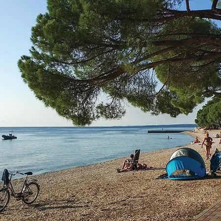 Stunning In Valbandon With Wifi Apartment Fazana